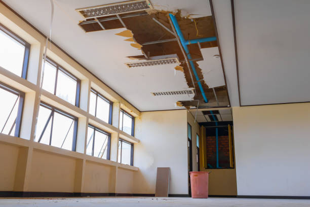 Best Water damage cleanup near me  in Mandeville, LA