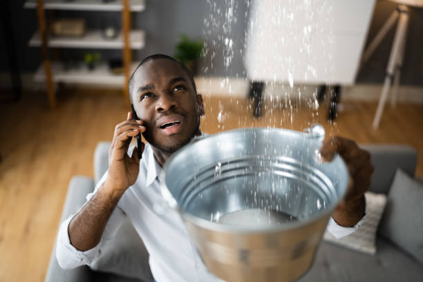 Best Residential water damage restoration  in Mandeville, LA