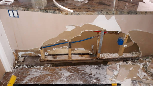 Best Fire Damage Restoration  in Mandeville, LA