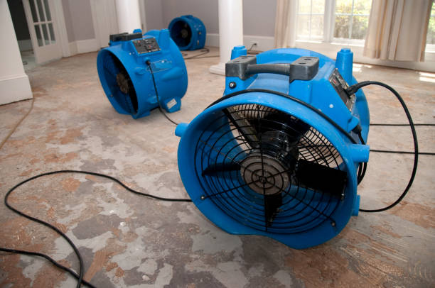 Water damage restoration experts in Mandeville, LA